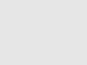 no-image-9902