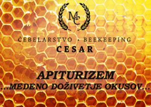 APITURIZEM_CEBELARSTVO_CESAR_MEDENO_DOZIVETJE_OKUSOV_LOGO